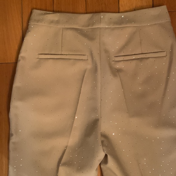 Sparkly Zara pants - Picture 5 of 11